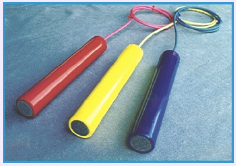 ĐIỆN CỰC CẦM TAY (PORTABLE REFERENCE ELCTRODES)
